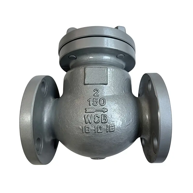 WCB Amerikan Standart Çek Valf